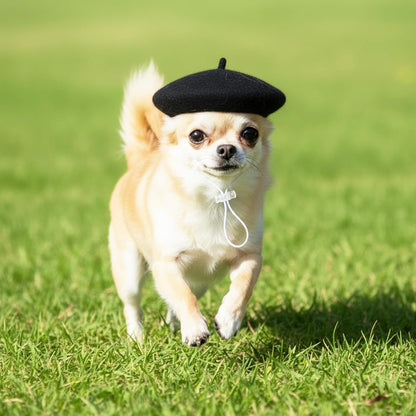 Dog Beret Dog Cat Hats, Funny Artist Dogs Hat, French Mushroom Artist Fedora Hat Pet Headwear Decor Christmas Costume Hair Accessory Photo Props