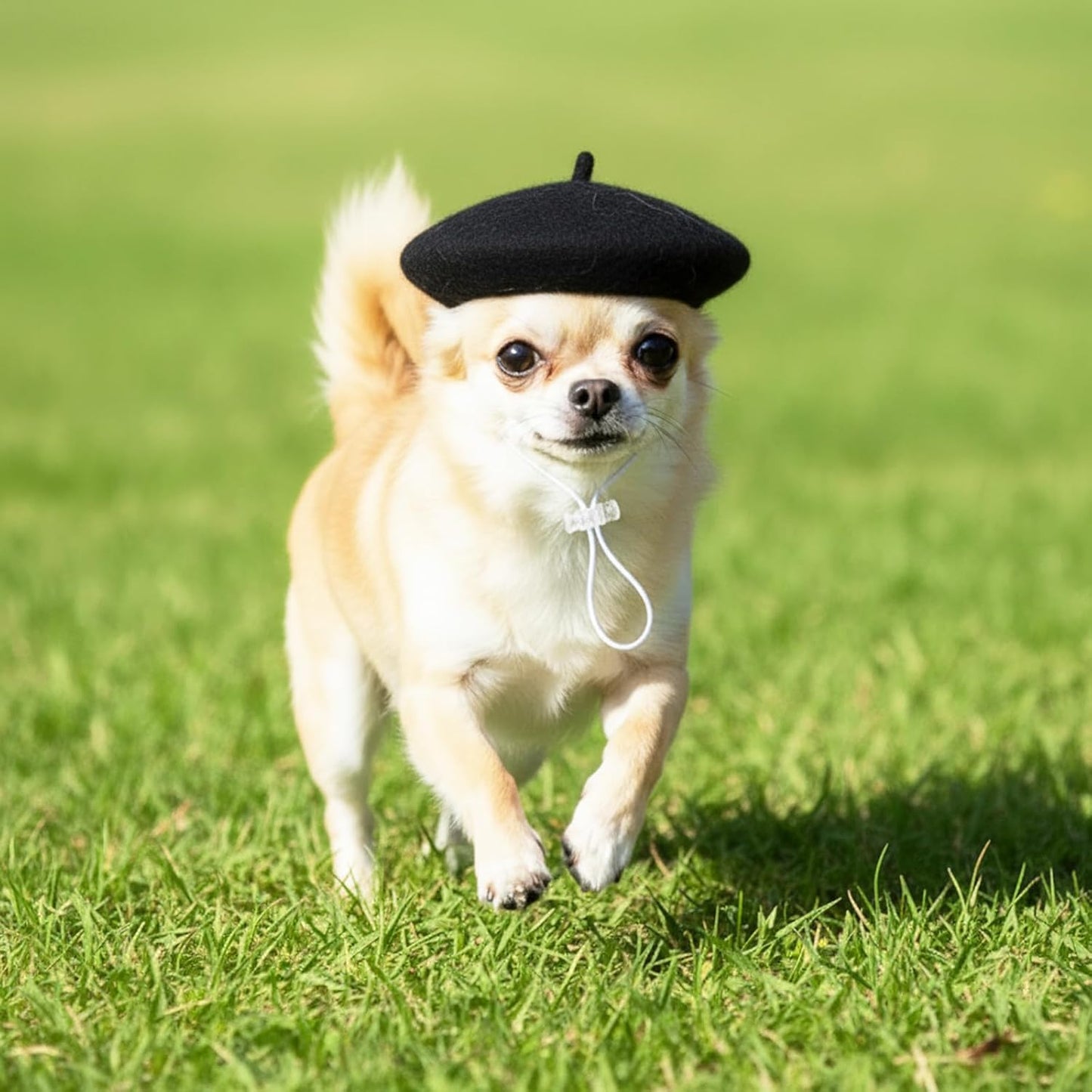 Dog Beret Dog Cat Hats, Funny Artist Dogs Hat, French Mushroom Artist Fedora Hat Pet Headwear Decor Christmas Costume Hair Accessory Photo Props