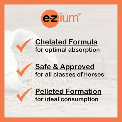 EZium Chelated Magnesium Equine Supplement for Horses – 9.5 lb Resealable Bag (30-Day Supply) – Supports Muscle Function, Focus, Behavior & Calming