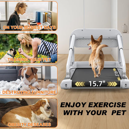 Quiet Smart Dog Treadmill for Small & Medium Dogs, Pet Treadmill for Dogs up to 130lbs, Indoor Running Machine for Fitness, Compact & Durable Pacer Treadmill for Health and Exercise