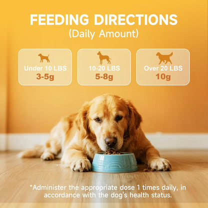 Pumpkin for Dogs - Pumpkin Powder for Dogs 8.11OZ, Digestion, Gut Health, Constipation Diarrhea Relief - Probiotics, Cranberry, Blueberry, Enzymes, Fiber Supplement Dog, to Make Pumpkins Puree for Dog