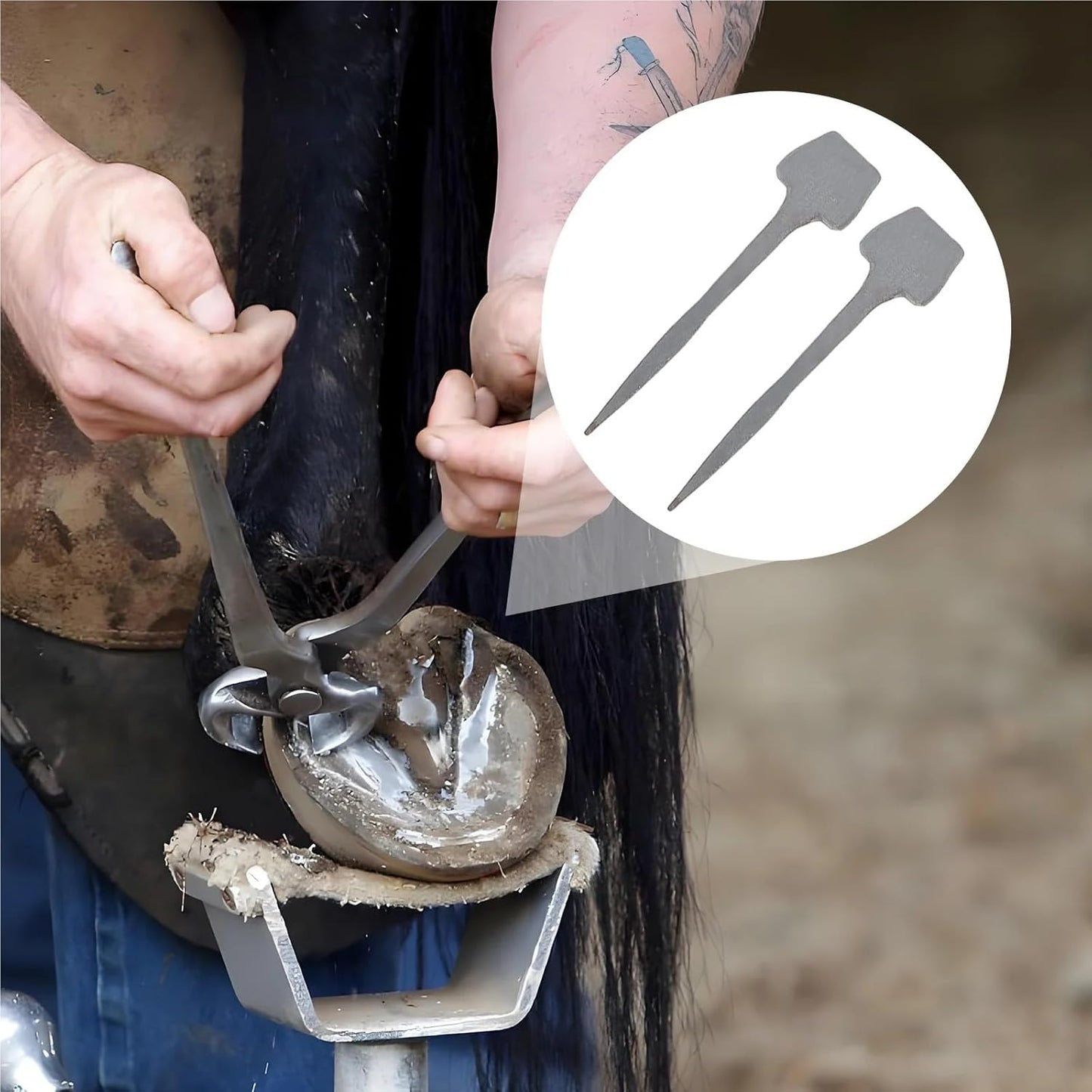 Horseshoe Nails 20 PCS Metal Horseshoe Nails Iron Hoof Fixators Strong Tensile Strength Horse Shoe Nail for Stable Use for Securing Firmly