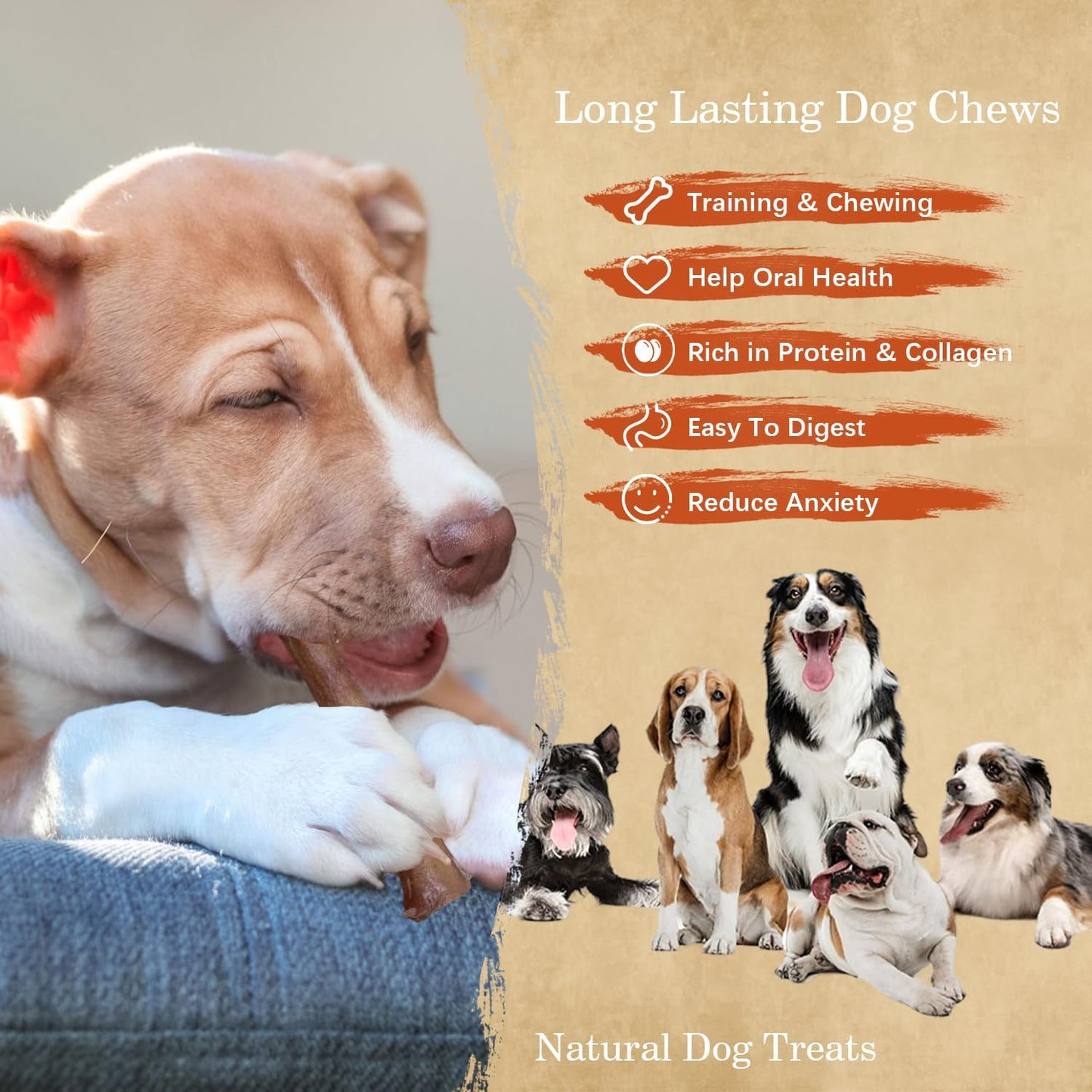 Jumbo Bully Sticks 12" for Large Dogs, 5 Count Natural Beef Dog Chews Long Lasting, Dog Treats Bones for Aggressive Chewers - Single Ingredient