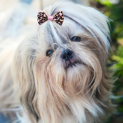 100PCS Cute Puppy Dog Small Bowknot Hair Bows,Yorkie Doggie Bows with Rubber Band Pet Grooming Bows Dog Hair Costume Accessories for Small Dog