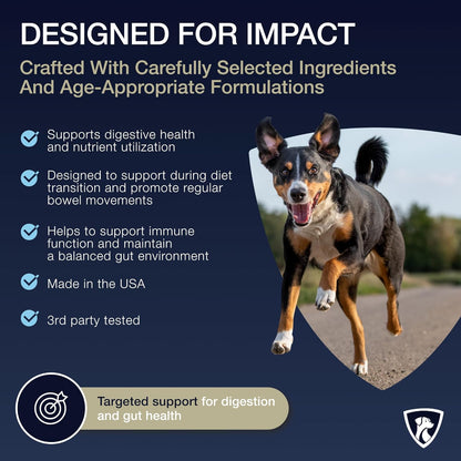 Select Senior Dog Digestive Probiotic Powder and Dental Support Bundle | Pet Dental Powder & Dog Breath Freshener, 7 Bn CFU | 60 Servings, 6.7 oz