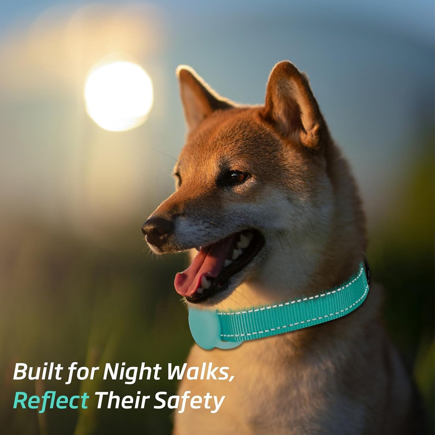 Airtag Dog Collar with Air Tag Holder, Adjustable Reflective Pet Collar with Soft Padding,Durable Nylon Collar for Tiny Small Medium Dogs, Easy Install Design (Turquoise Blue,S)