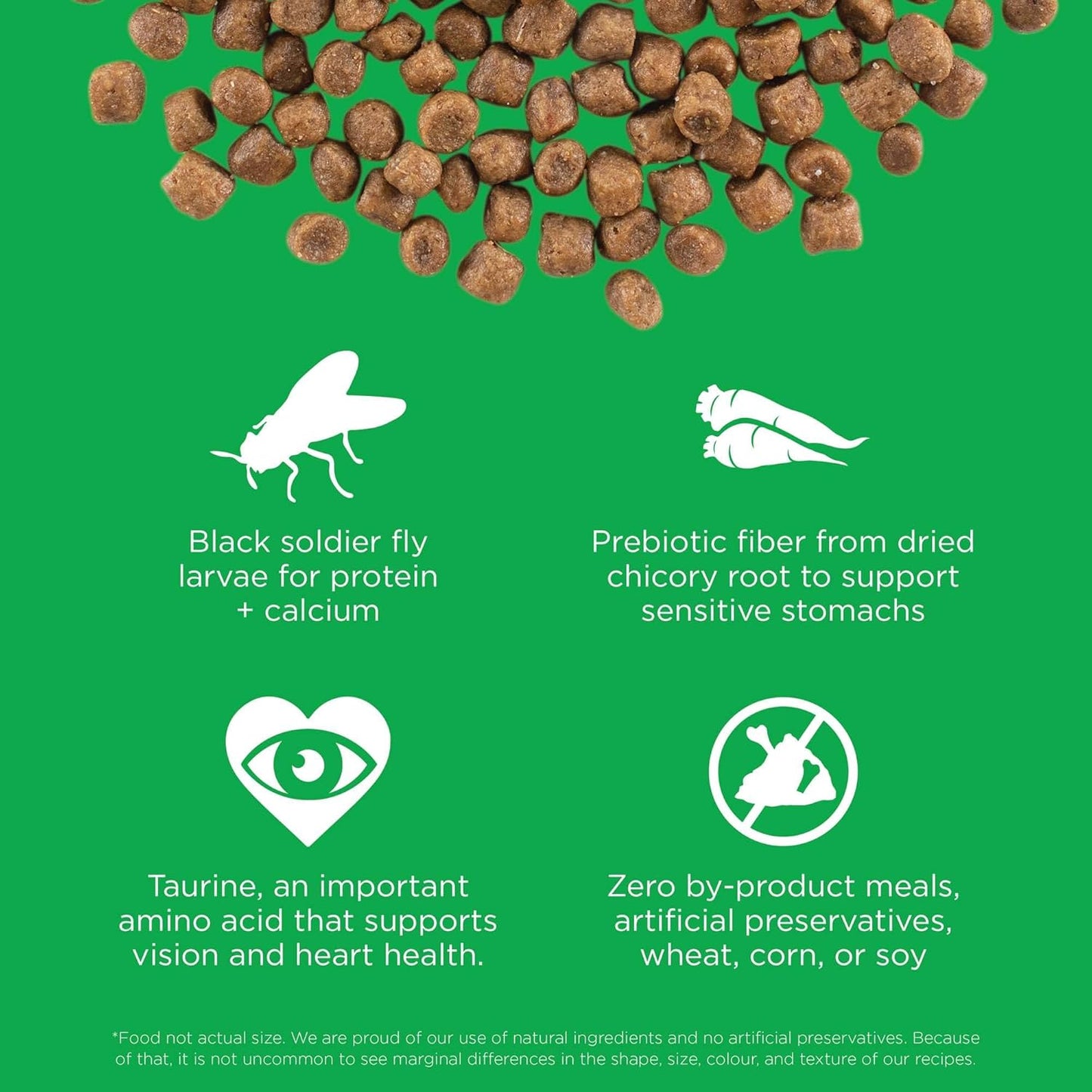 Go! Solutions Sensitivities Limited Ingredients, Grain-Free Dry Cat Food, Insect Recipe for Sensitive Stomach, 3 lb Bag