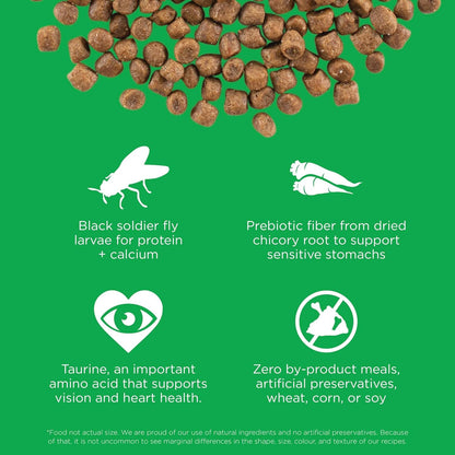 Go! Solutions Sensitivities Limited Ingredients, Grain-Free Dry Cat Food, Insect Recipe for Sensitive Stomach, 3 lb Bag