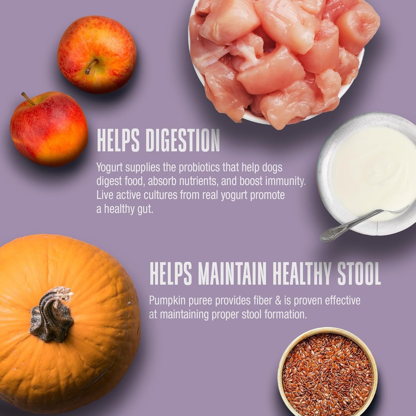 Whole Life Dog Gut Health Bundle – Living Treats with Pumpkin, Healthy Gut Daily Probiotic Supplement, Just One Chicken Freeze-Dried Dog Treats – Digestive Support, Human Grade, USA Made