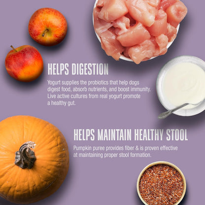 Whole Life Dog Gut Health Bundle – Living Treats with Pumpkin, Healthy Gut Daily Probiotic Supplement, Just One Chicken Freeze-Dried Dog Treats – Digestive Support, Human Grade, USA Made