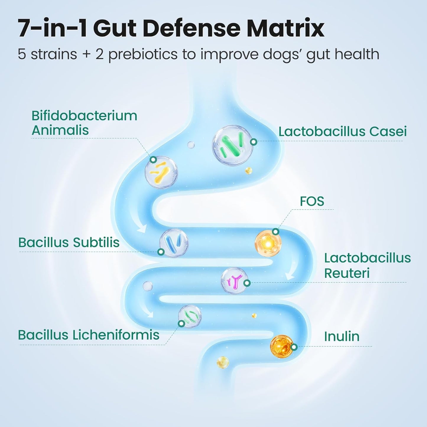 Probiotics Supplement Chews for Dogs, Support Digestive and Gut Health, with Prebiotics & Enzymes for Diarrhea and Upset Stomach Relief, Chicken Flavor 100ct