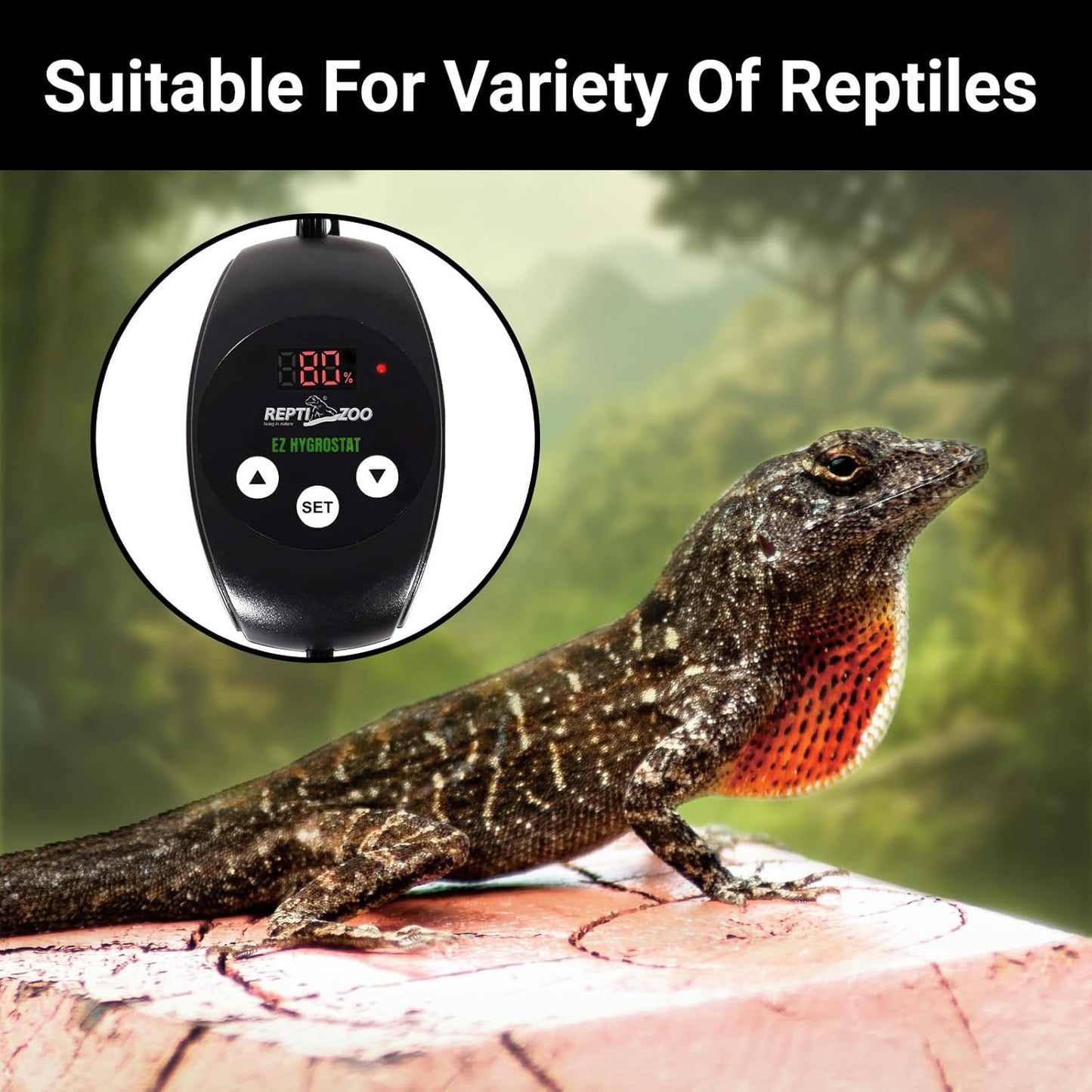 REPTI ZOO Reptile Digital Hygrometer Controller LED Humidistat Reptile Humidity Control for Reptile Terrariums Tank Reptile Humidifier Fogger Mushroom Greenhouse