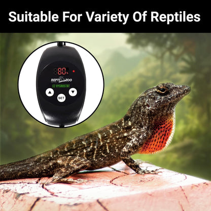 REPTI ZOO Reptile Digital Hygrometer Controller LED Humidistat Reptile Humidity Control for Reptile Terrariums Tank Reptile Humidifier Fogger Mushroom Greenhouse