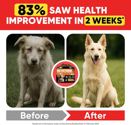 Dog Multivitamin Soft Chews – 10-in-1 Complete Wellness for Joints, Skin & Digestion