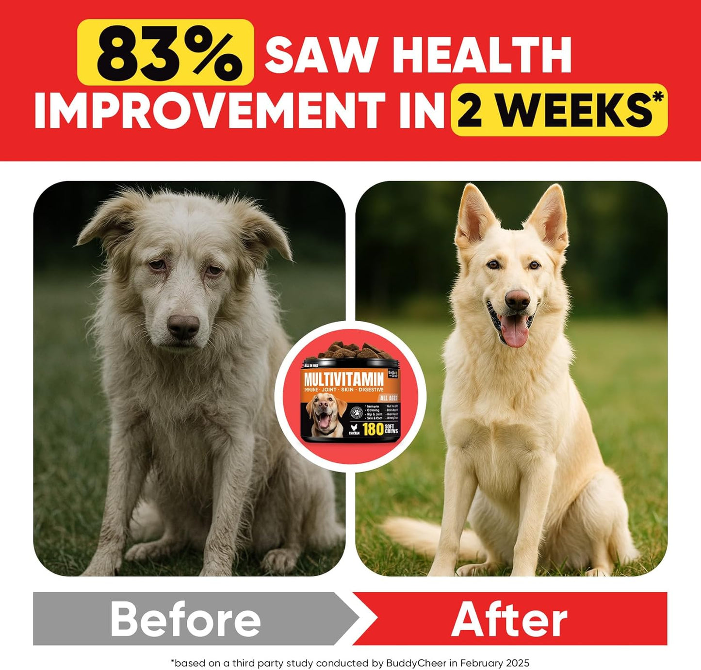Dog Multivitamin Soft Chews – 10-in-1 Complete Wellness for Joints, Skin & Digestion
