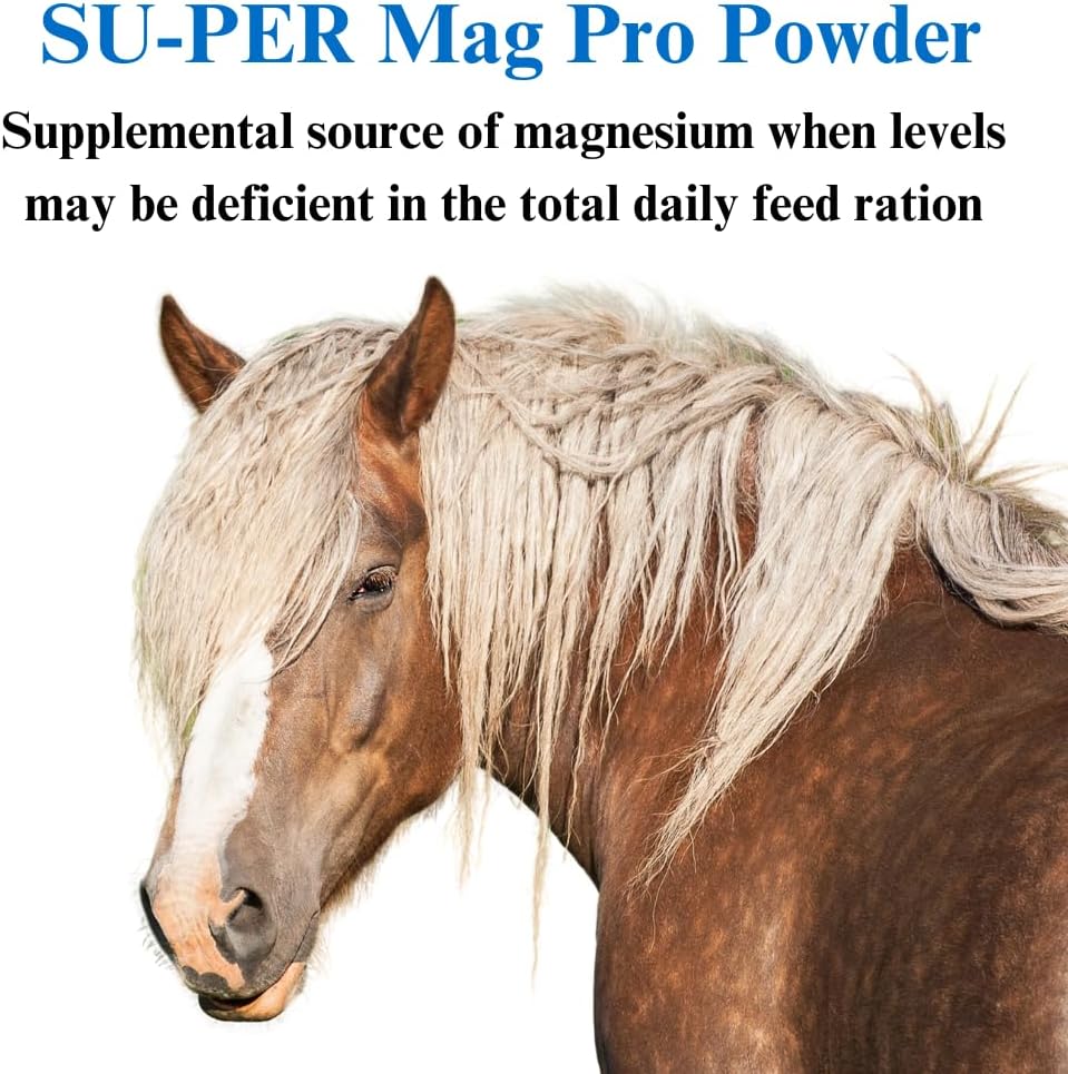 SU-PER Mag Pro Horse Calming Supplement - Support Normal Behavior & Calming Effect - Magnesium Supplement for Horses - 4 Pound, (2 Pack)