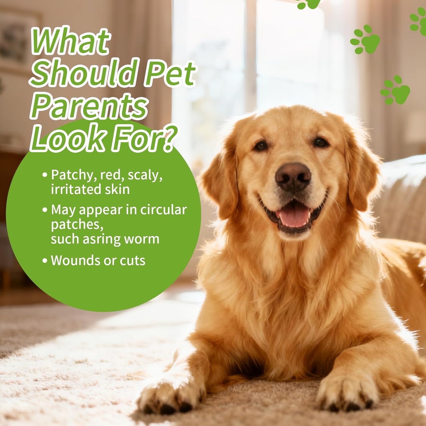 Clean Care Shampoo for Dogs and Cats, Seasonal Itch Relief Shampoo, for Allergies, Itching, Skin and Coat Supplement, Helps Shedding-Gentle Care for Long, Short & Curly Hair