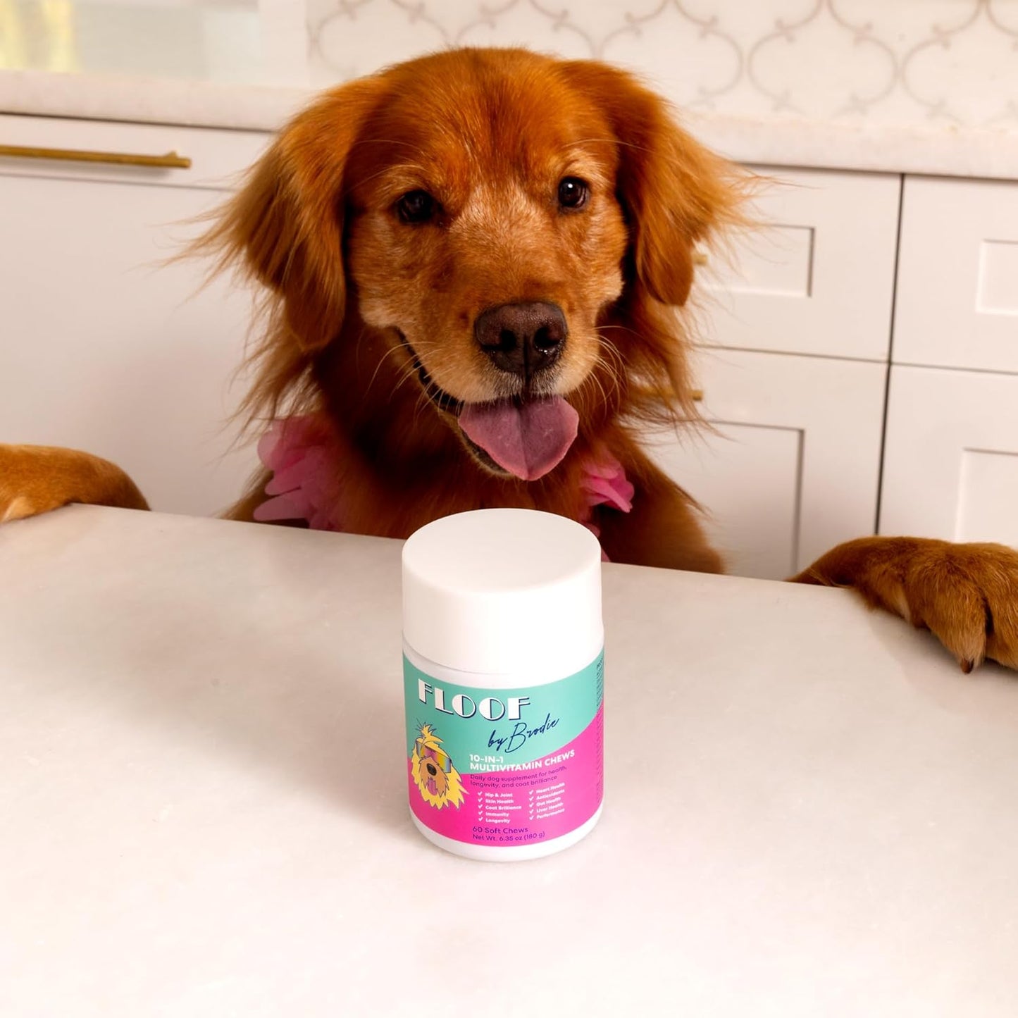 Floof by Brodie 10-in-1 Multivitamin Supplement: Dog and Puppy Vitamin with Joint Health Support MSM and Glucosamine HCL, Heart Health Coenzyme Q10, Probiotics, Collagen, Biotin - 60 Chews (6.35 oz)