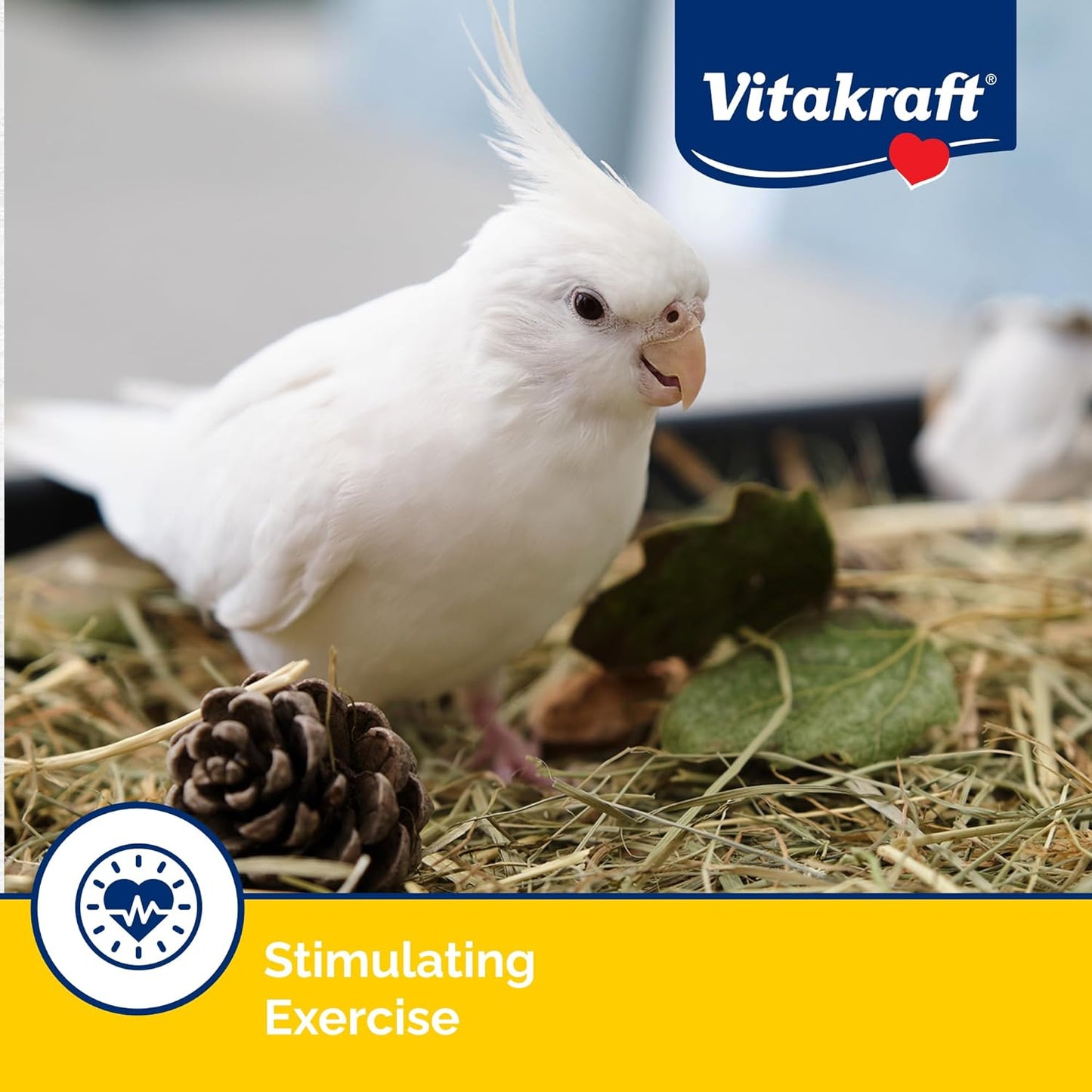 Vitakraft Crunch Sticks Cockatiel Treat - Apricot and Peach - Pet Bird Treat Toy, 3.5 oz