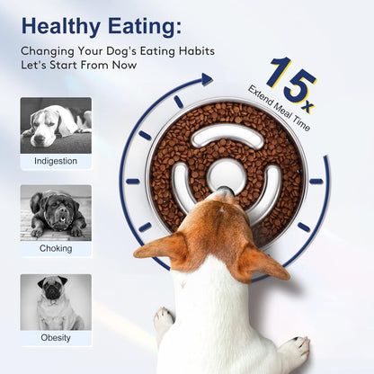 Slow Feeder Dog Bowl Stainless Steel, 2 Cups Metal Non-Slip Dog Food Bowls, Dogs Water Bowl for Small & Medium Sized Dogs, Fun Bloat Stop Pet Bowl for Fast Eaters, Slows Down Pets Eating