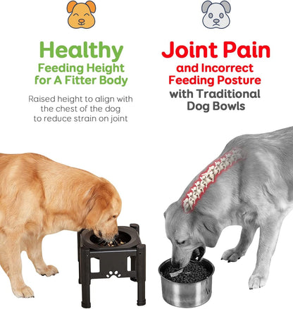 Pawque Elevated Slow Feeder Bowls - Adjustable Raised Dog & Cat Bowl with 3 Heights (6.1", 7.7", 9.3") for Medium & Small Pets, Mess Proof & Non-Slip Dish Feeder