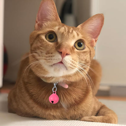 14 Pack Pet Bells for Dog Cat, Charms Colourful Pet Small Bells with Clasps, Round Bell with Loud Crisp Sound, Bell Pets Collar Accessories for Collars Stainless Steel Keychain for Pets