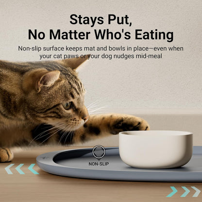 DownyPaws Cat Food Mats for Floors Waterproof, BPA Free Silicone Pet Feeding Mat, Non-Slip Pet Food Mat with High Raised Edge, Cat Placemat for Messy Drinkers, 18"×12.5", Gray