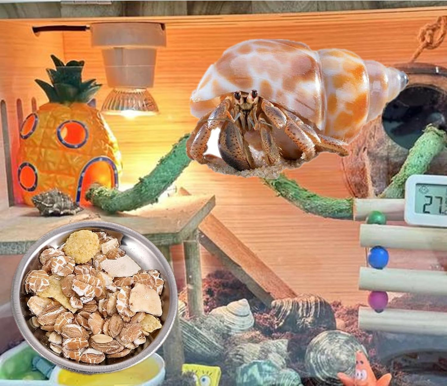 8 Pcs 2.5in Stainless Steel Hermit Crab Feeding Dishes - Food & Water Bowls for Snail, Gecko, Insect & Reptile Terrarium Use