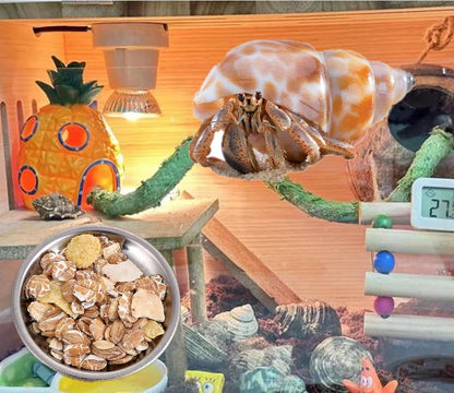 8 Pcs 2.5in Stainless Steel Hermit Crab Feeding Dishes - Food & Water Bowls for Snail, Gecko, Insect & Reptile Terrarium Use