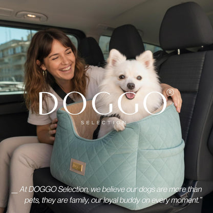 Premium 2-in-1 Dog Car Seat & Home Bed for Small Dogs – Premium Travel Pet Bed with Safety Straps, Stylish Design, Soft Plush Cushion & Secure Portable Comfort – Under 30lbs (Green)