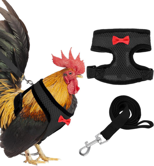Chicken Harness with Leash Set, Upgraded Double Adjustable Mesh Breathable Chicken Training Harness, Pets Leash for 3-4 Lb Hens Duck Goose Small Pets Training Walking Supplies (Black)