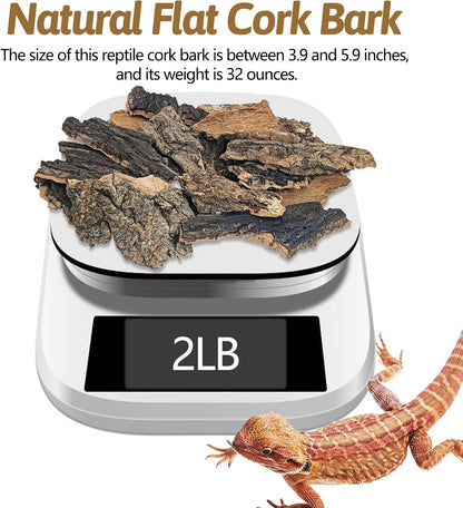BNOSDM Reptile Cork Bark Substrate 32oz Lizard Bedding for Habitat Natural Flat Cork Wood Bulk Terrarium Reusable Bark Pieces for Chameleon, Ball Python, Crested Gecko, Spider, Tortoise, Tree Frog