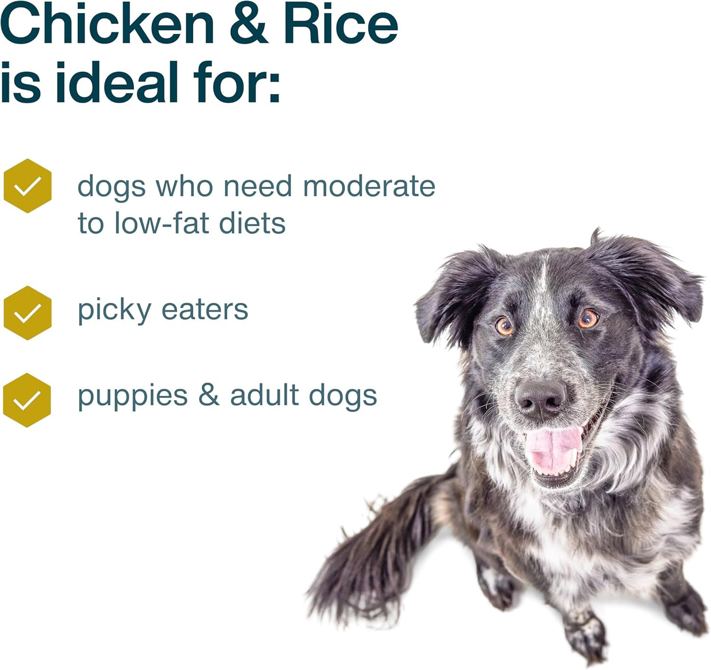 JustFoodForDogs Frozen Fresh Dog Food, Complete Meal or Topper, Chicken & Rice Human Grade Recipe, 18 oz (Pack of 7)