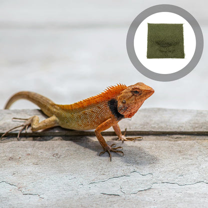 Beaupretty Reptile Carpet Substrate Liner for Terrarium Washable Turtle Lizard Bedding Mat for Tortoise and Climbing Pets Natural-Looking Reusable Habitat Carpet for Snakes and Amphibians