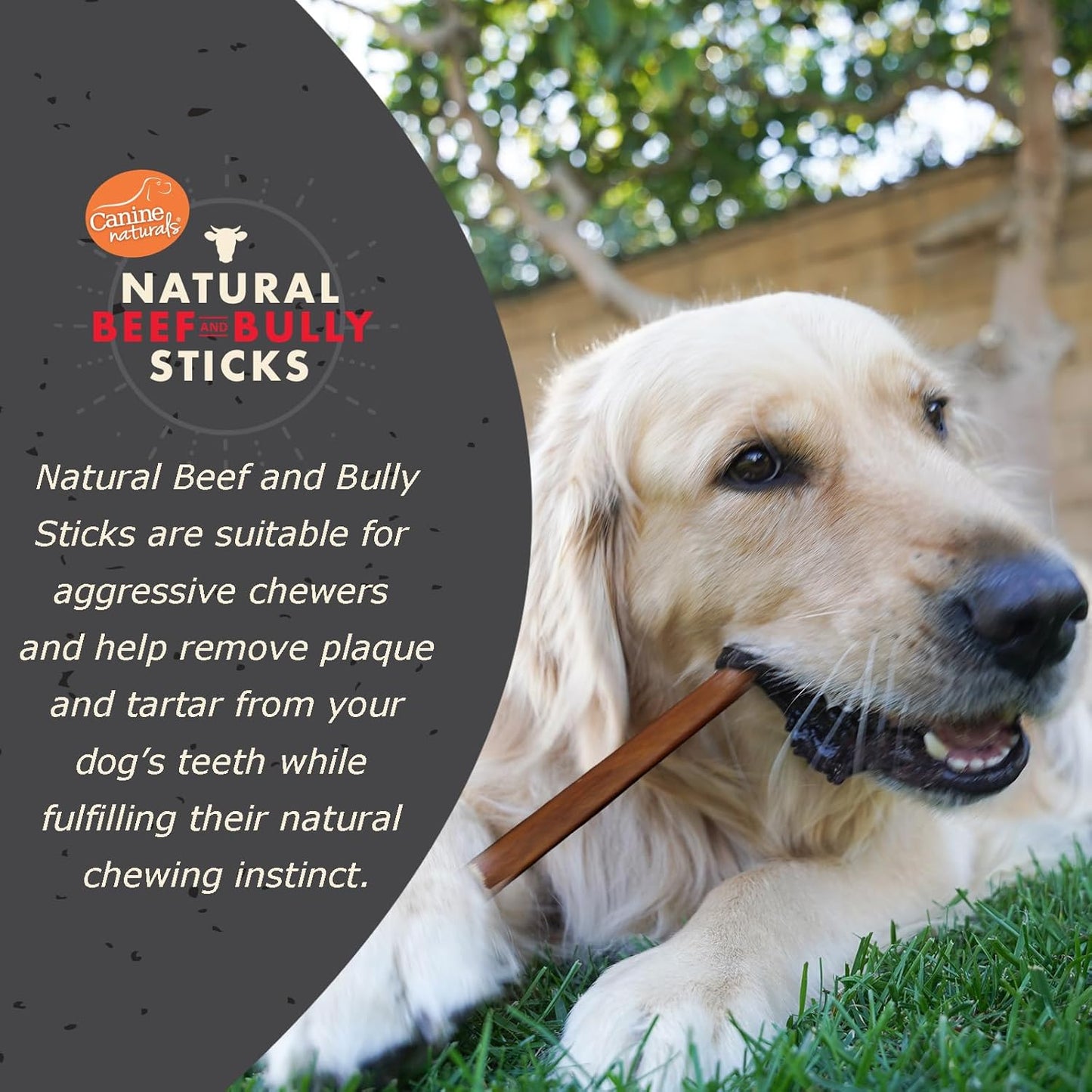 Canine Naturals | Natural Beef & Bully Sticks | Long-Lasting, Odor Free, High Protein Chews Made with 100% Real Bully | 4 Count Medium Sticks