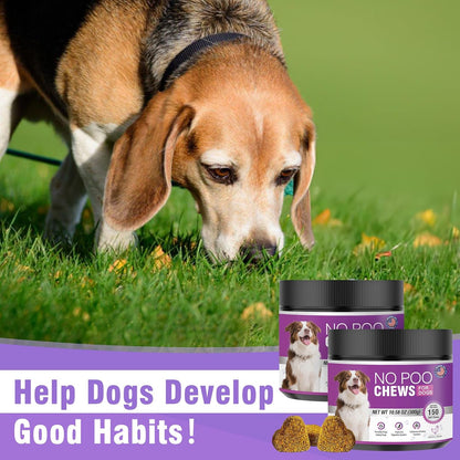 300 Chews No Poo Chews-No Poop Eating Deterrent for Dog-Coprophagia Deterrent for Dogs-Prevent Stop Dogs from Eating Poop Supplement with Digestive Enzymes&Probiotics-Breath Freshener-Chicken Flavor