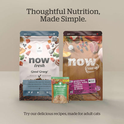 Now Fresh Good Gravy Grain-Free Dry Cat Food with Salmon, Healthy Kibble for Adults & Seniors Coated in Bone Broth – Just Add Water to Moisten, Chicken-Free Recipe for Sensitive Stomachs, 3 lb Bag