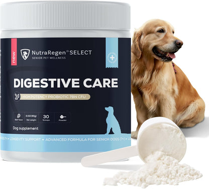 Select Digestive Senior Dog Probiotic Powder 30 Servings | Beef Flavored Dog Probiotics for Digestive Health, Supports Gut Health, Scratching, Itchy & Dry Skin, Allergies 2.1 Oz | 7 Bn CFU