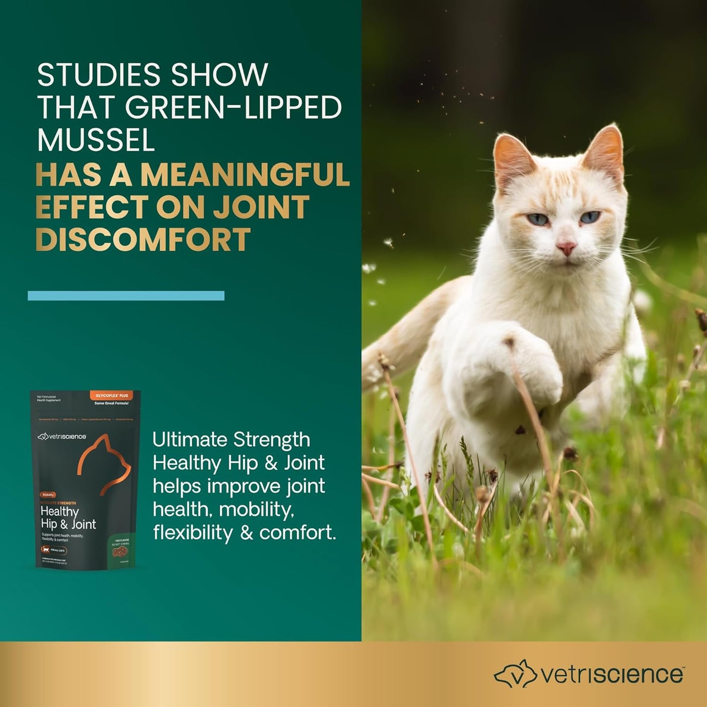 VetriScience Ultimate Strength Healthy Hip & Joint Chews, GlycoFlex Glucosamine, Chondroitin and Green-Lipped Mussel Joint Supplement for Cats, Soothe Joint Discomfort, Fish, 30 Count