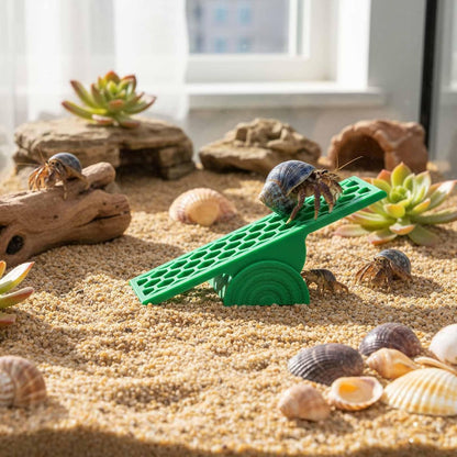 Hermit Crab Seesaw