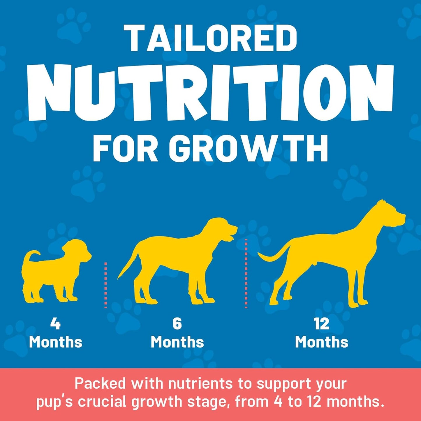 Guardian’s Choice VitaPup Puppy Vitamins Chews, Dog Vitamins for Growth, Digestion, Coat, Brain & Immune Support, Daily Multivitamin for Dogs with Omega 3, Biotin, & Calcium, 90 Tasty Soft Chews