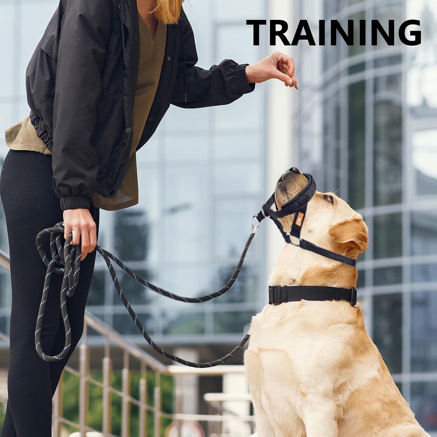 Dog Head Collar with Soft Fabric, Dog Head Harness for Dog to Stop Pulling with Adjustable Loop(M,Pink)