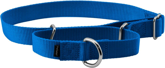 PetSafe Martingale Dog Collar - Safer Than Choke Chains - Gentle Correction for Pulling - Escape Prevention Collar - Durable Nylon - Everyday Walking Gear - 1" - Large - Royal Blue