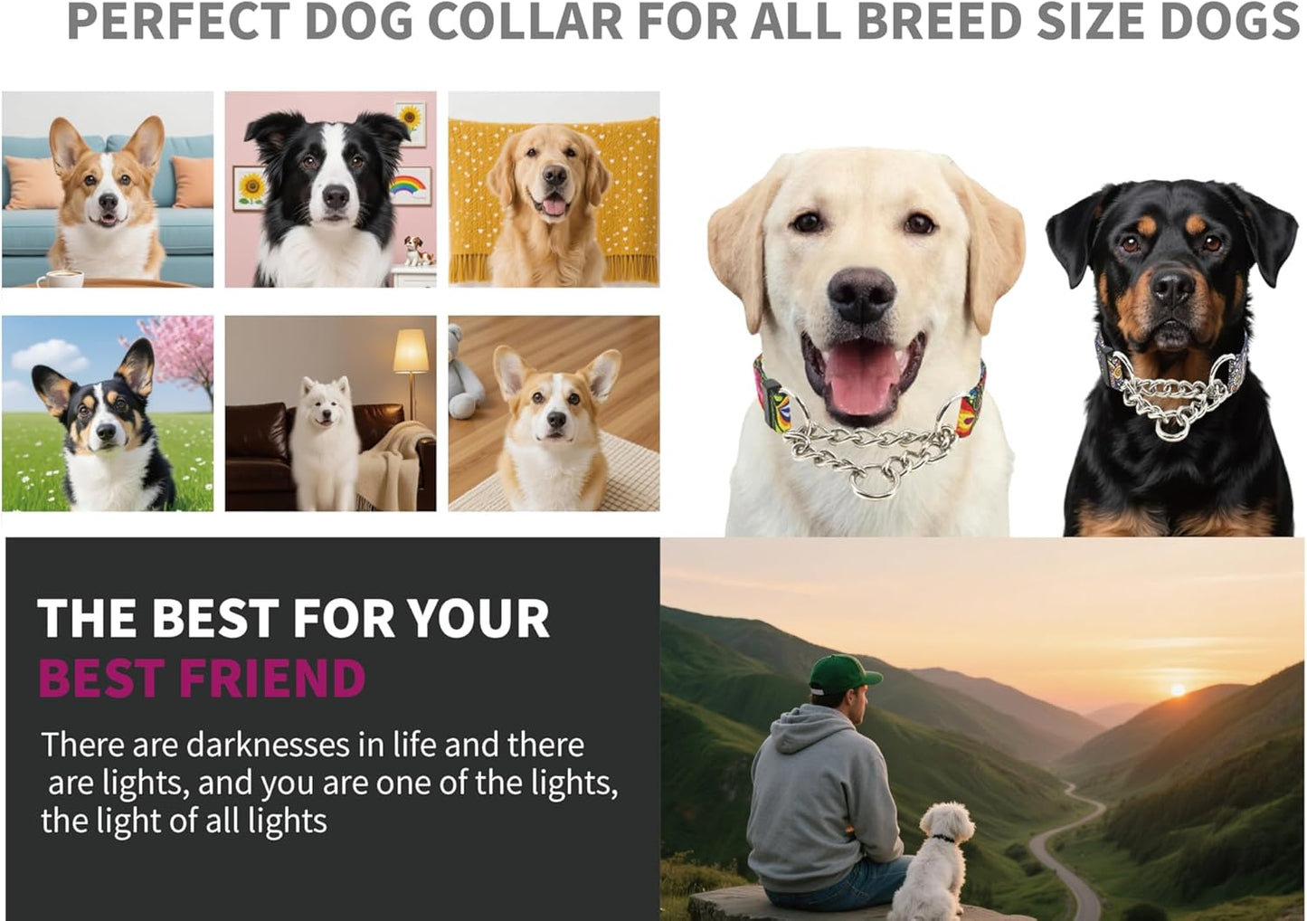 Martingale Dog Collar with Chain Stainless Steel, Nylon Dog Collar Flowers Pattern, Adjustable Training Walking Collar with Quick Release Buckle, Slip Chain Collar for Puppy Medium Large Dogs