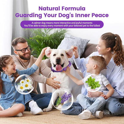 Calming Collar for Dogs,Rainbow Dog Calming Collars,Dog Pheromone Collar for Fast-Acting, Lasts 60 Days, Choke-Free Design,1 Pack Gift