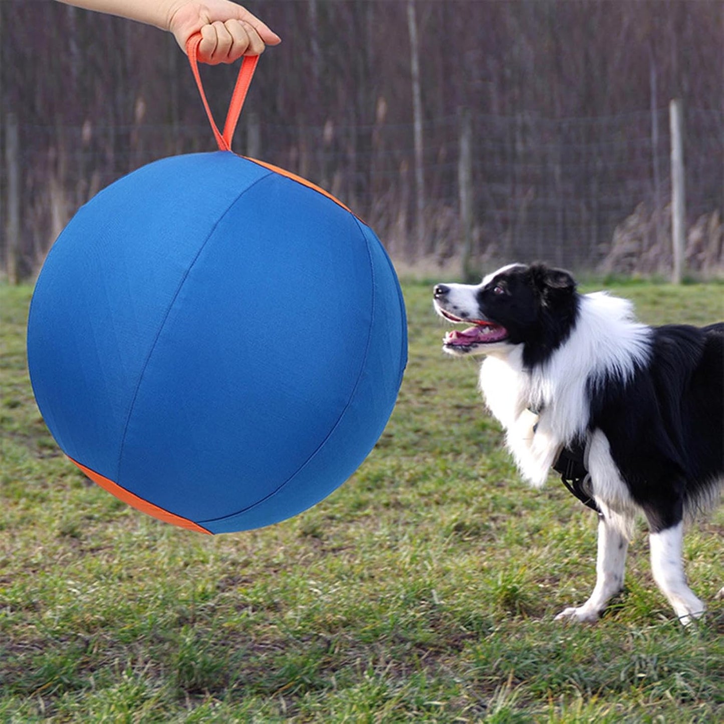 Dogs Herding Ball Toy Physical Activity Outdoor Inflatable Herding Pet Mouth Training Horse Balloon Horse Ball Thrower