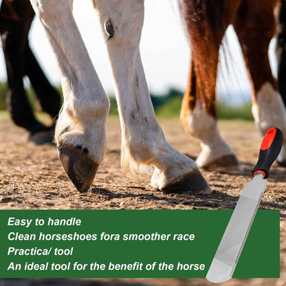 12 Inch Hoof Rasp, Carbon Steel Farrier File Tool, Trimming Tool Horse Rasp with Handle, Suitable for Horse Donkey Cow Goat Animal Hooves