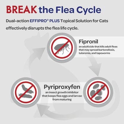 Effipro Plus Topical Solution for Cats, 3 Month Supply, Product Does Not Expire, Non-Perishable