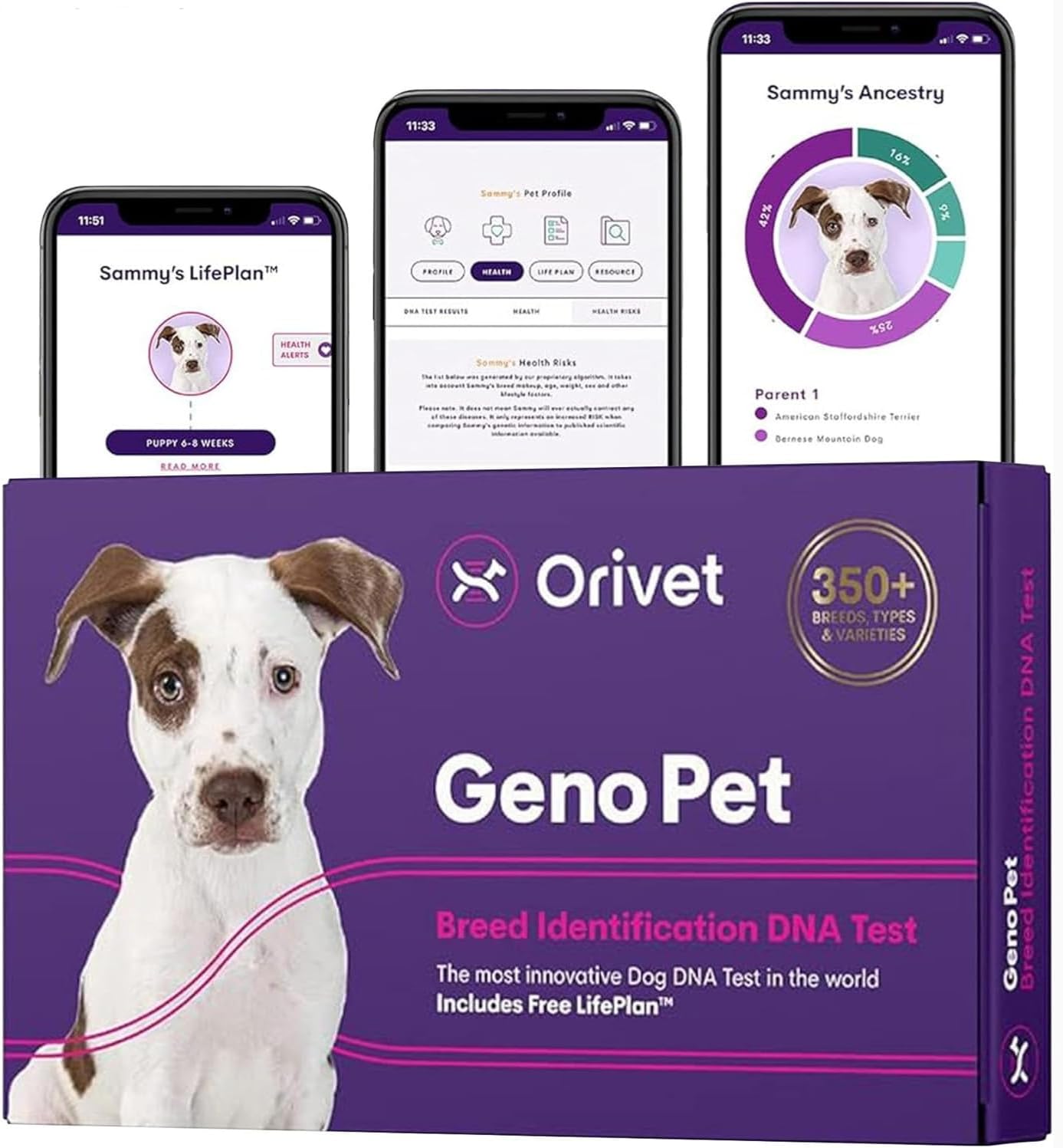 ORIVET GenoPet Dog DNA Test Kit | Vet-Approved | Identify 365+ Dog Breeds | Canine Ancestry & Genetic Health Traits | at-Home Swab | Results in 21–25 Days from Kit Arrival