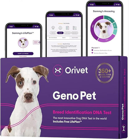 ORIVET GenoPet Dog DNA Test Kit | Vet-Approved | Identify 365+ Dog Breeds | Canine Ancestry & Genetic Health Traits | at-Home Swab | Results in 21–25 Days from Kit Arrival